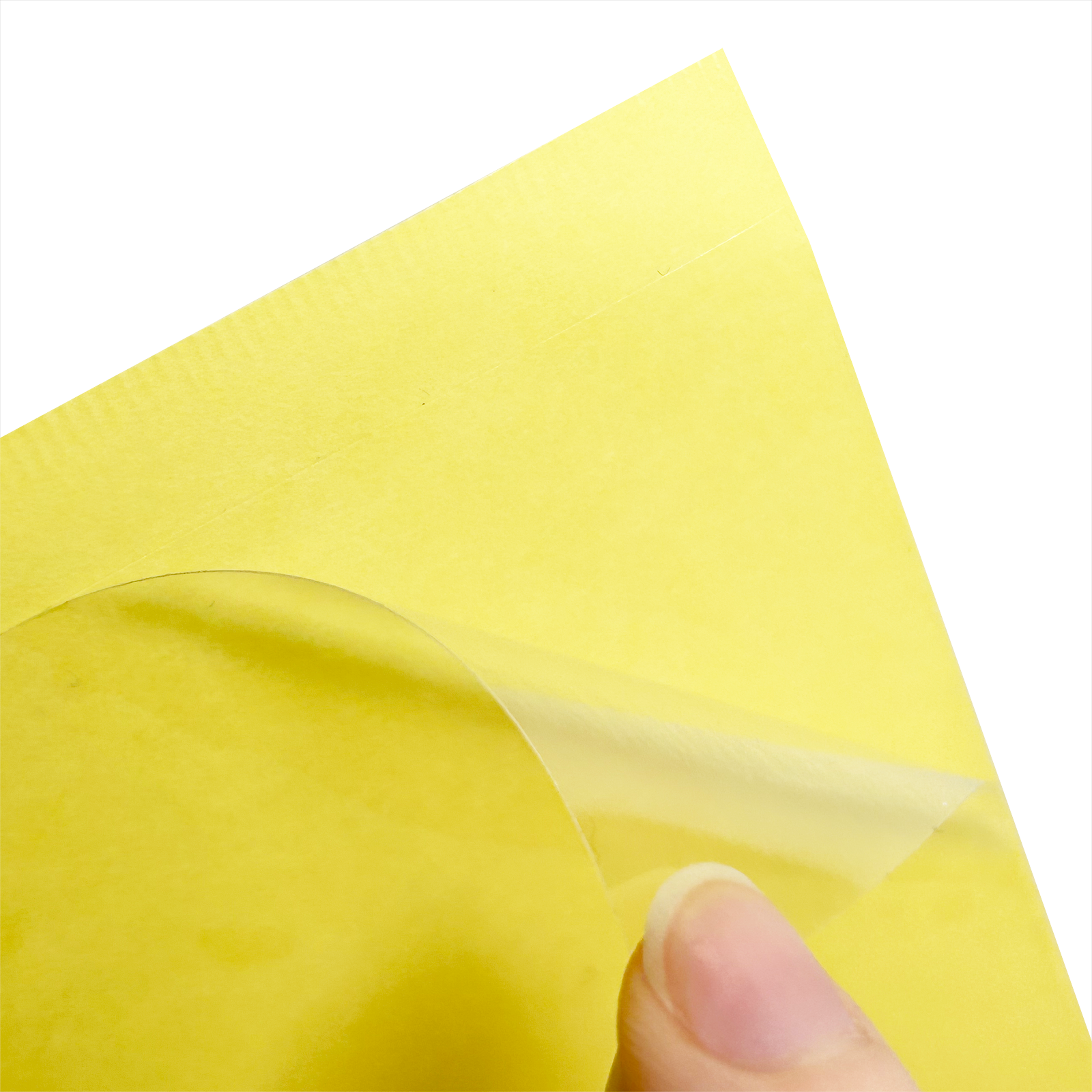 Untitled(2).png